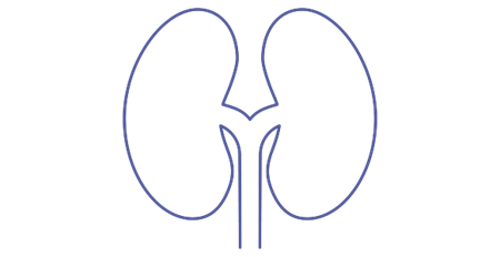 The Kidney & Plasma Cell Disorders